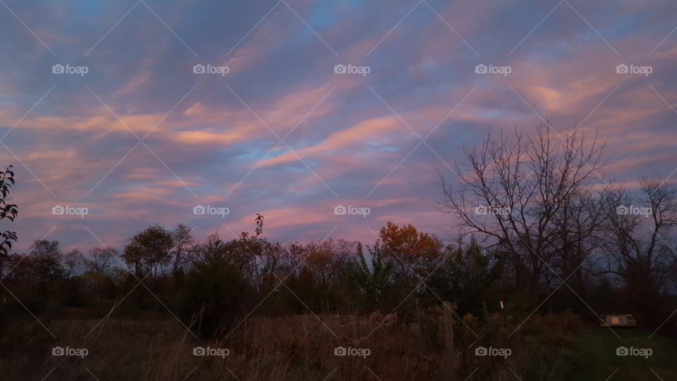 pink blue skies