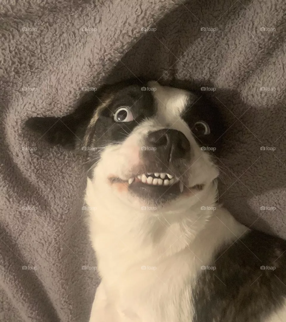See me smile