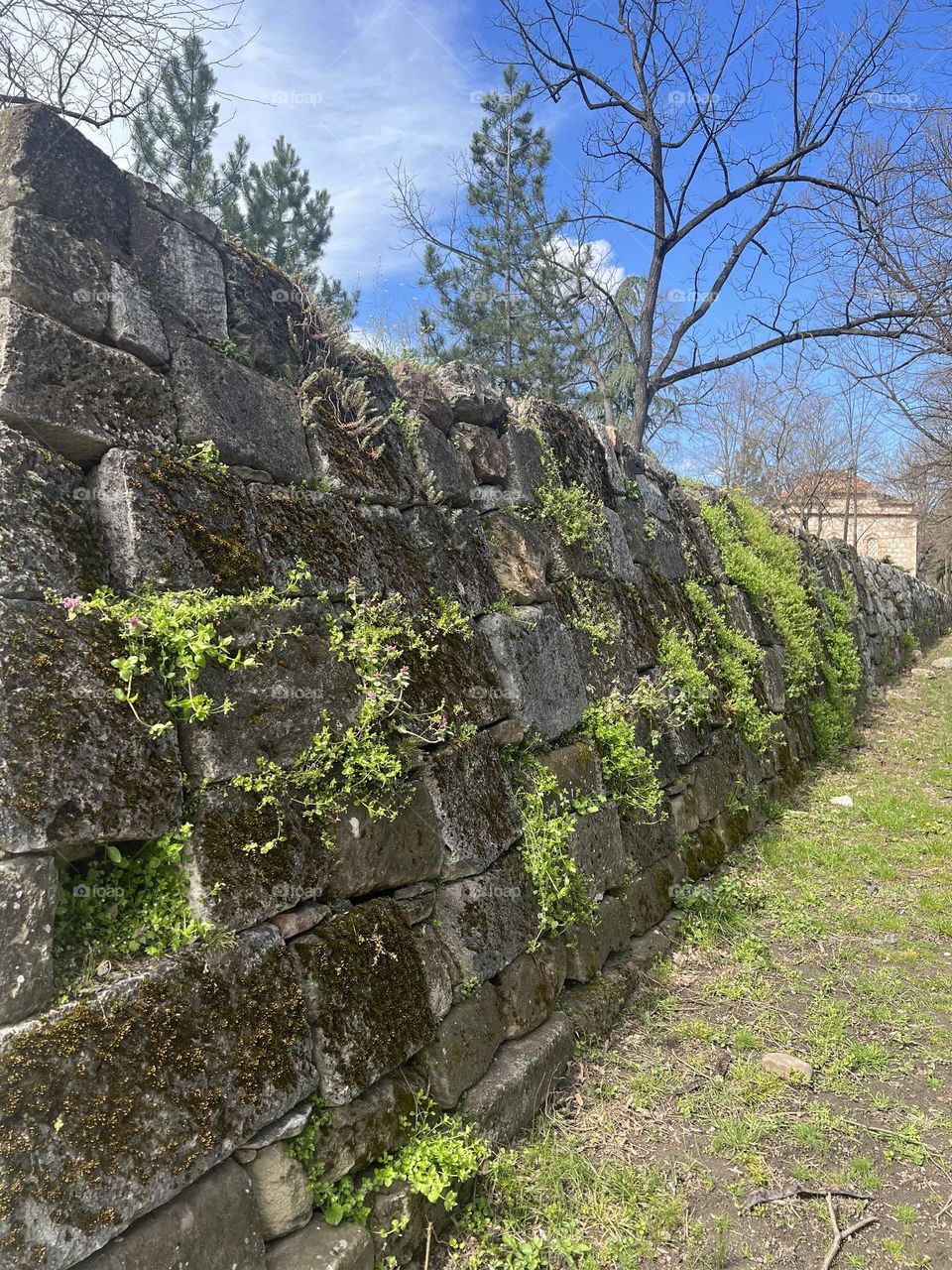 300-year-old wall