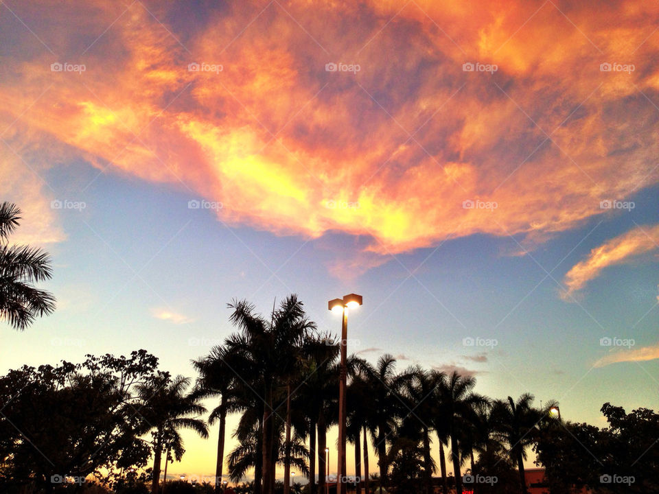 Palm trees and lamp against clouds at sunset