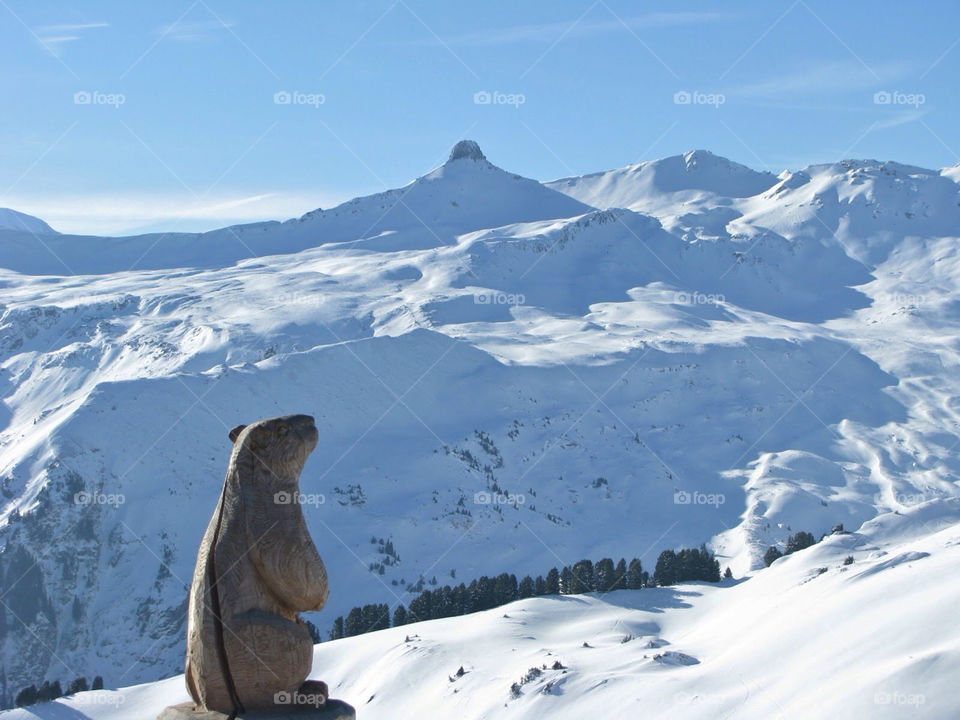 Groundhog . Wooden groundhog in the mountains