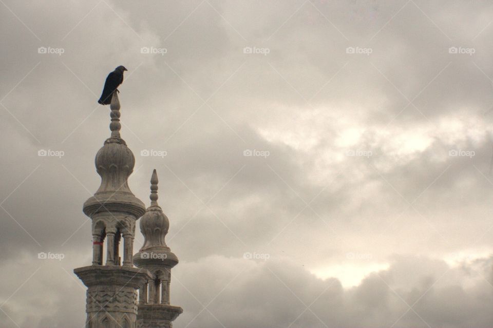 Crow on a minaret. India.