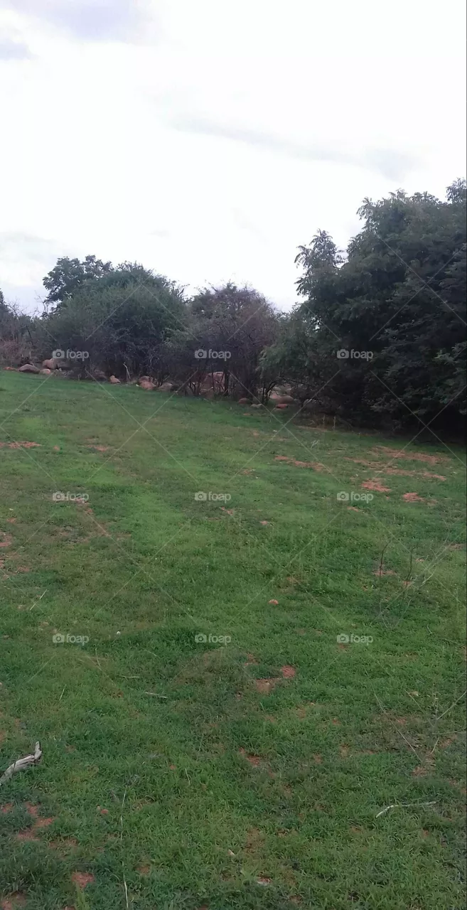 green land