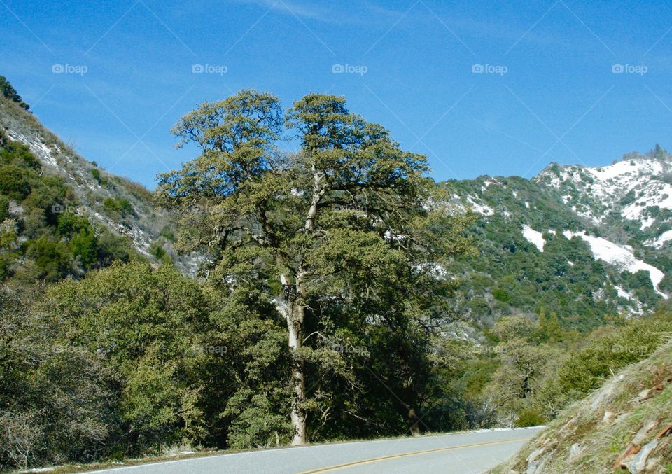 Mountain landscape. Road