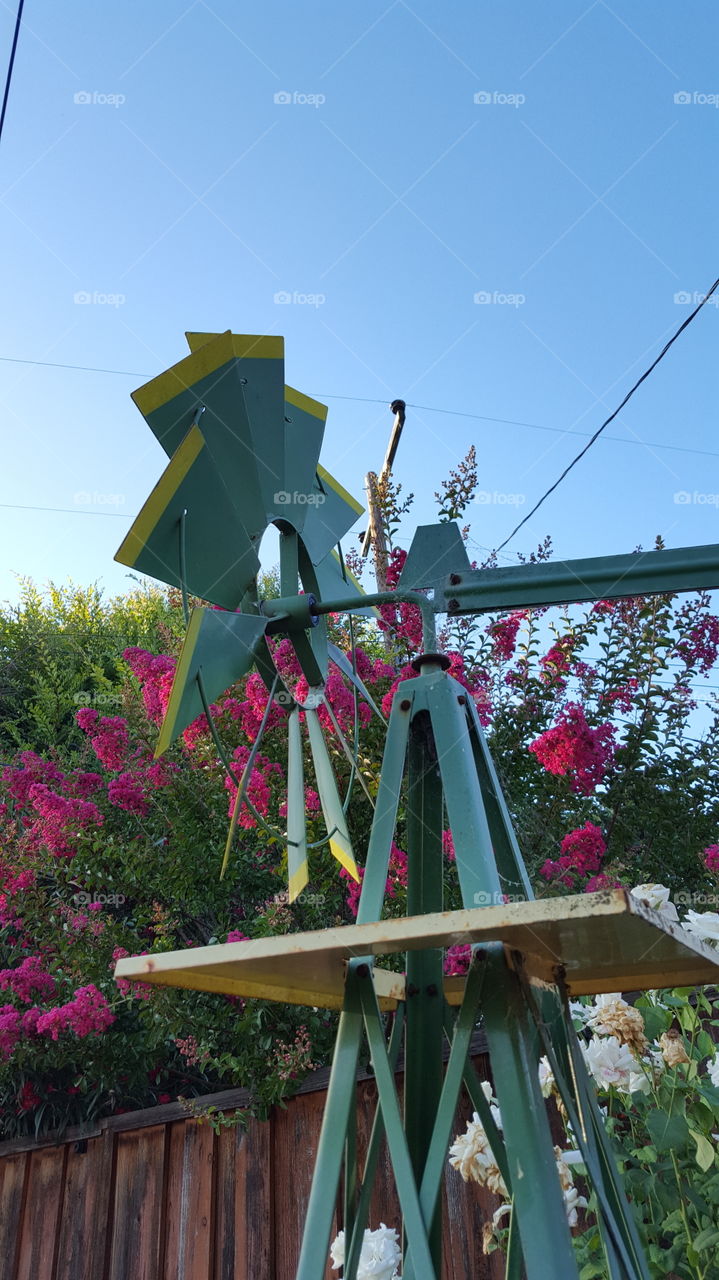 windmill and flowers