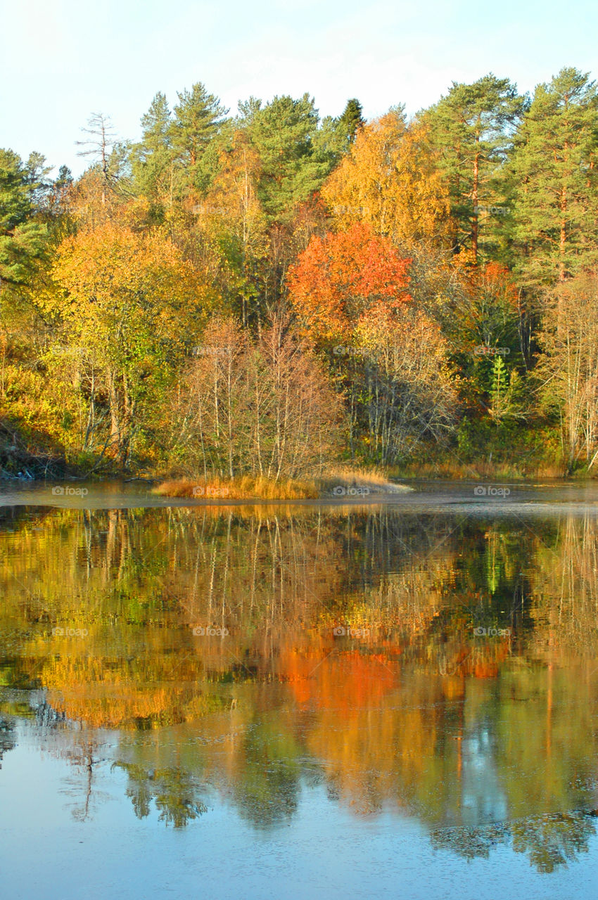 autum lake