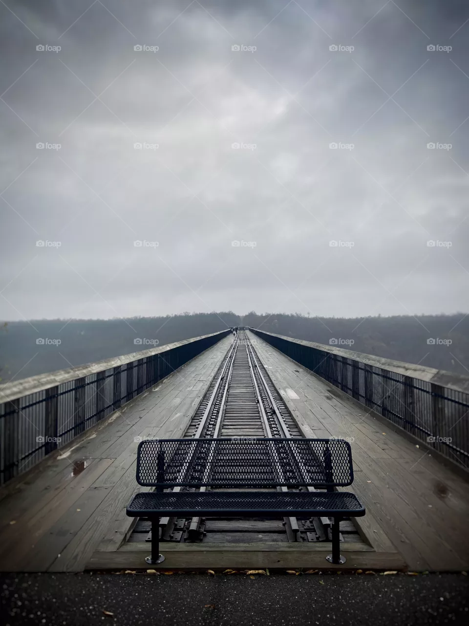 Into the unknown