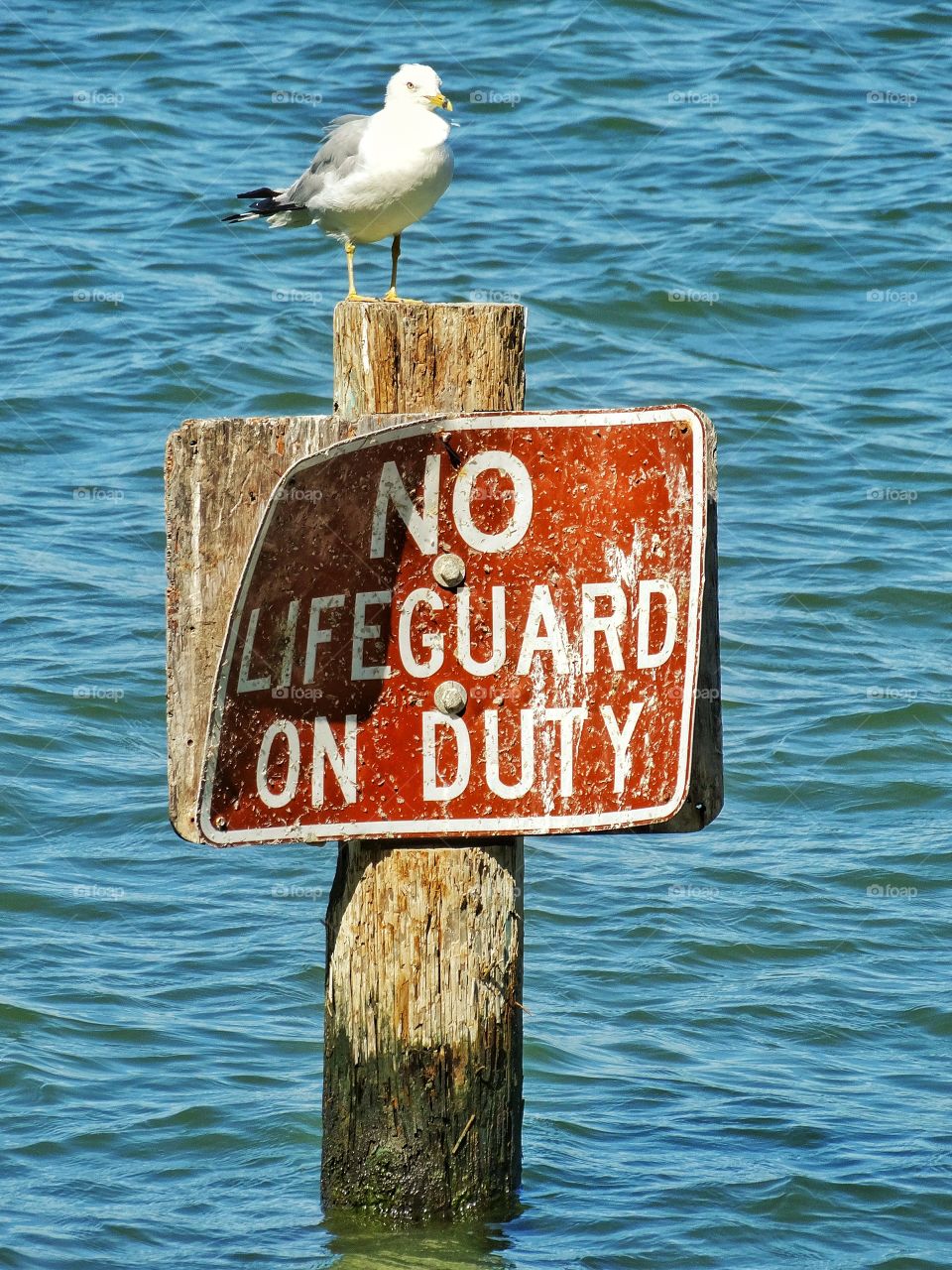 Dangerous Waters. No Lifeguard On Duty
