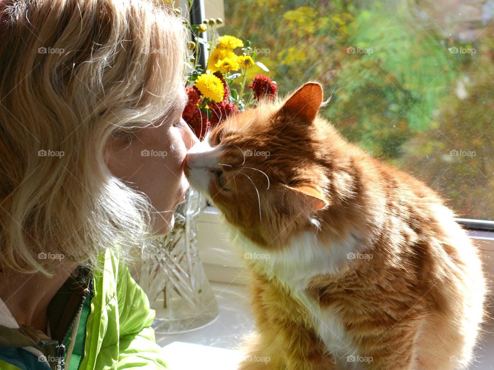 woman with cat, furry friend, cat lover