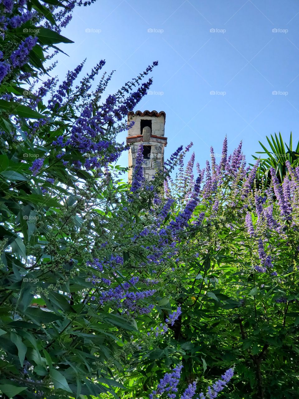 Artistic Chimney behind Flowering Tree