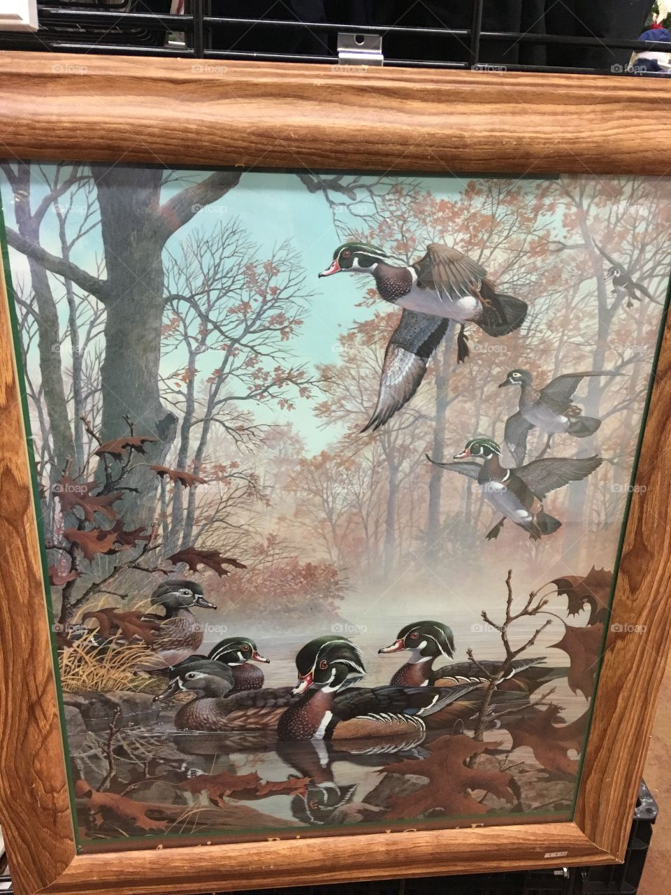 Wood ducks, thrift store find