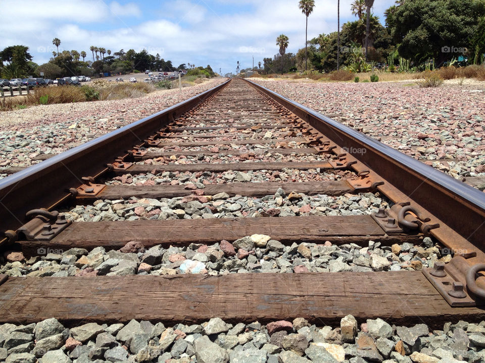 sky wood summer train by andrele