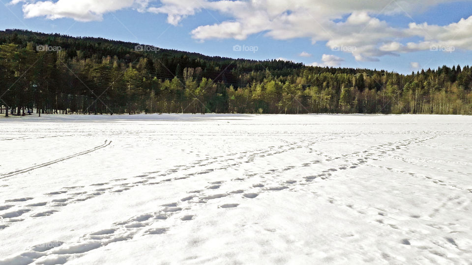 Frozen lake Søgnsvann with snowy surface, near Oslo, Norway.