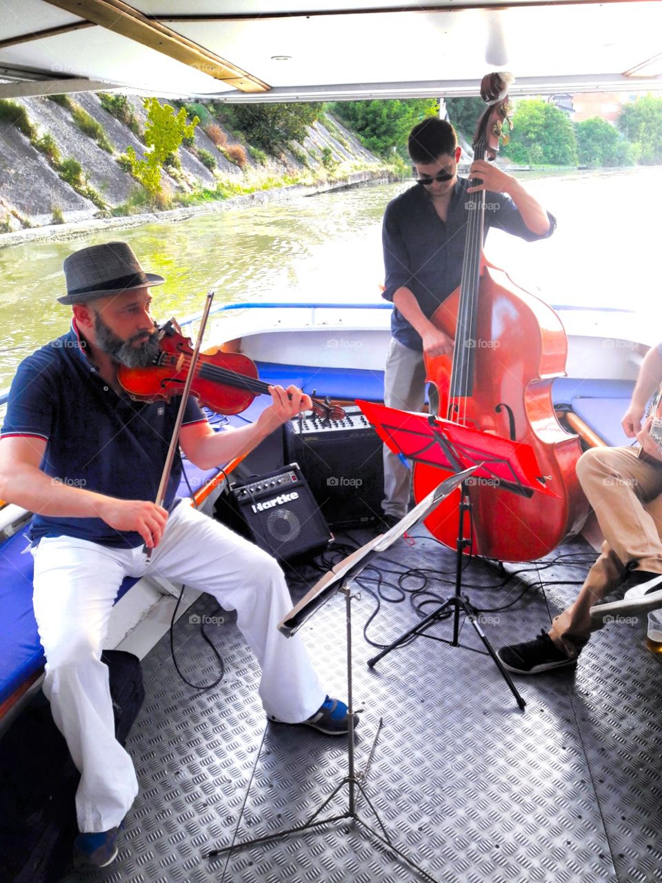 violin on river