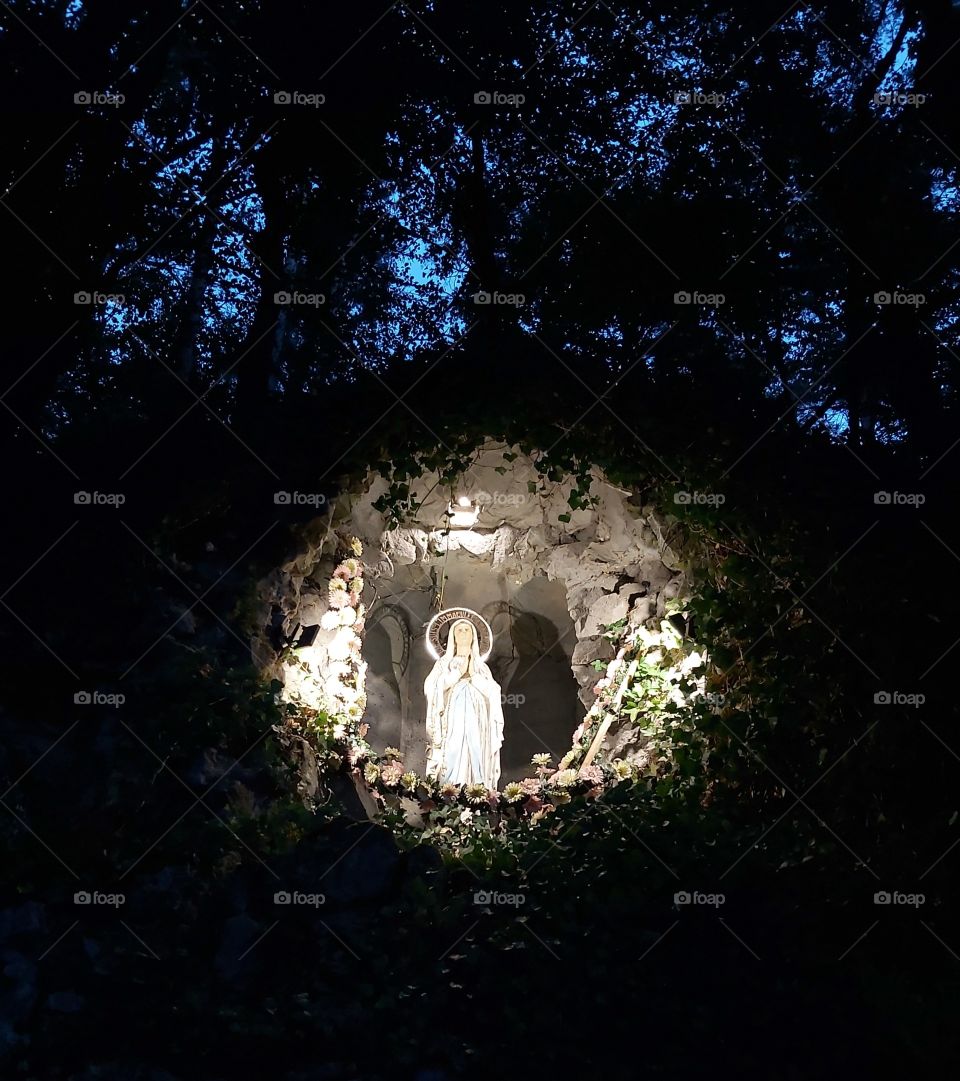 In the wood by night