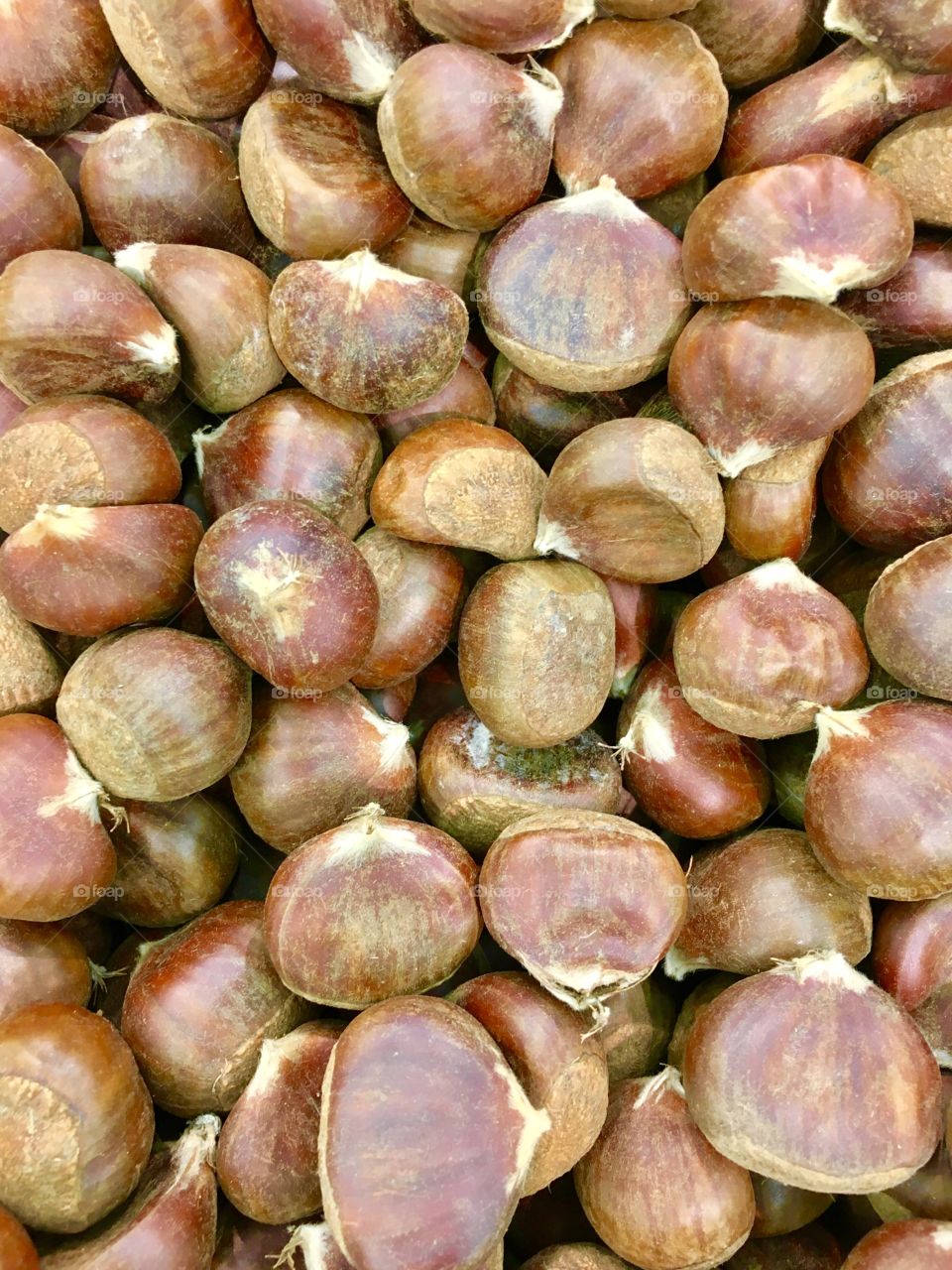 Chestnuts