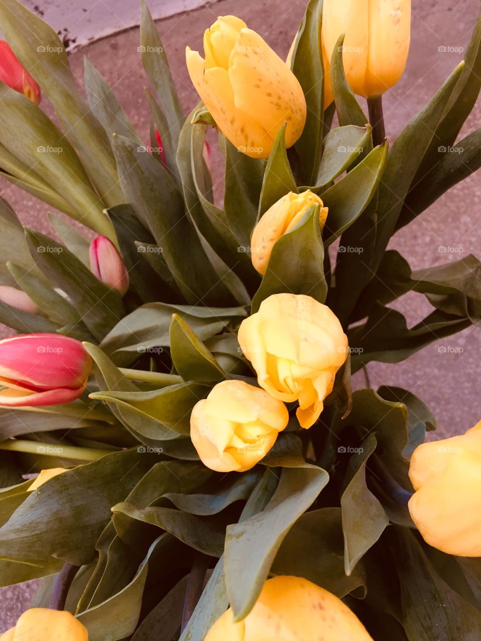 Yellow bouquet of flowers 