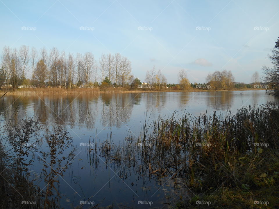 Reflection, Lake, Landscape, Dawn, Water