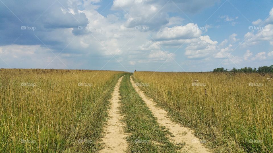 a summer country road