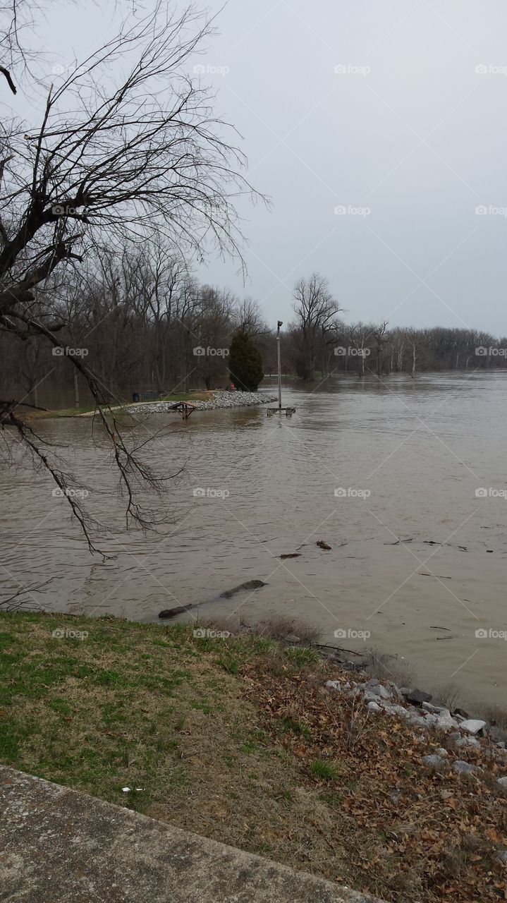 flooded Ohio river. the Ohio river has taken over parts of Fort massac