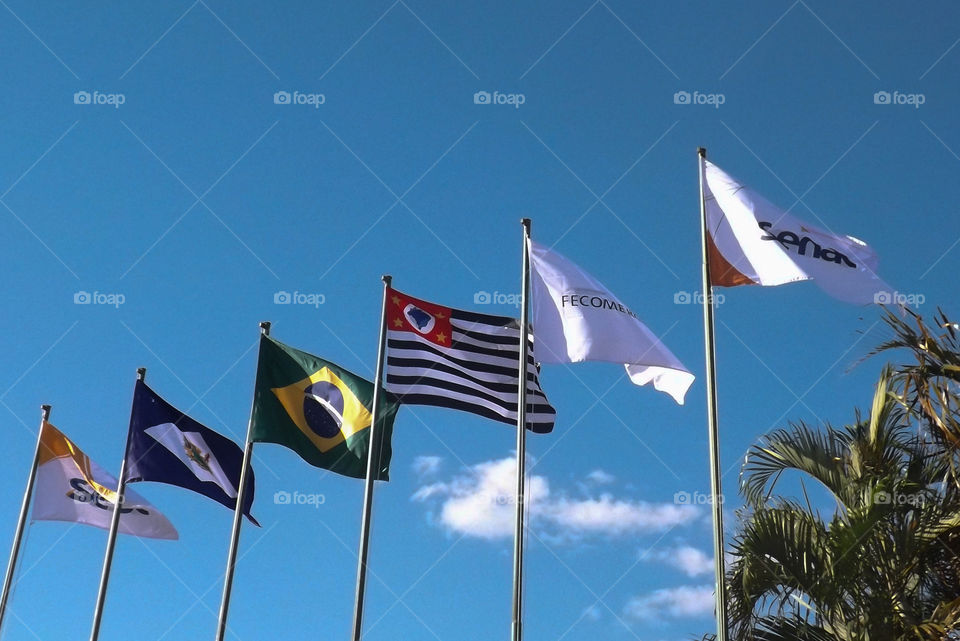 flags