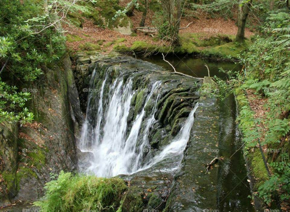 Waterfall In Wales 1