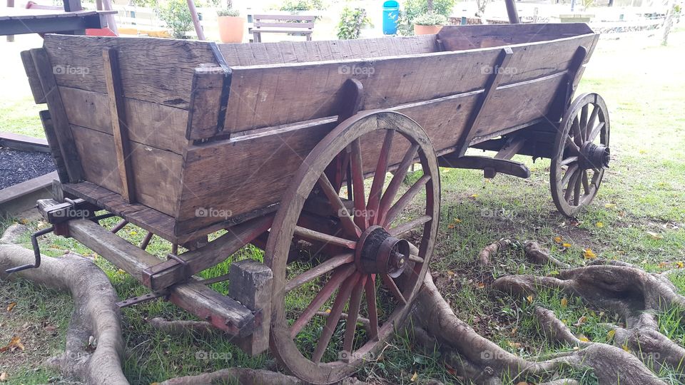wooden carriage wagon