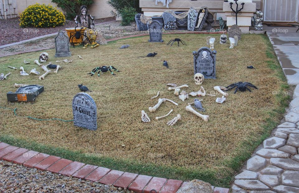 Halloween graveyard with skeletons and rats