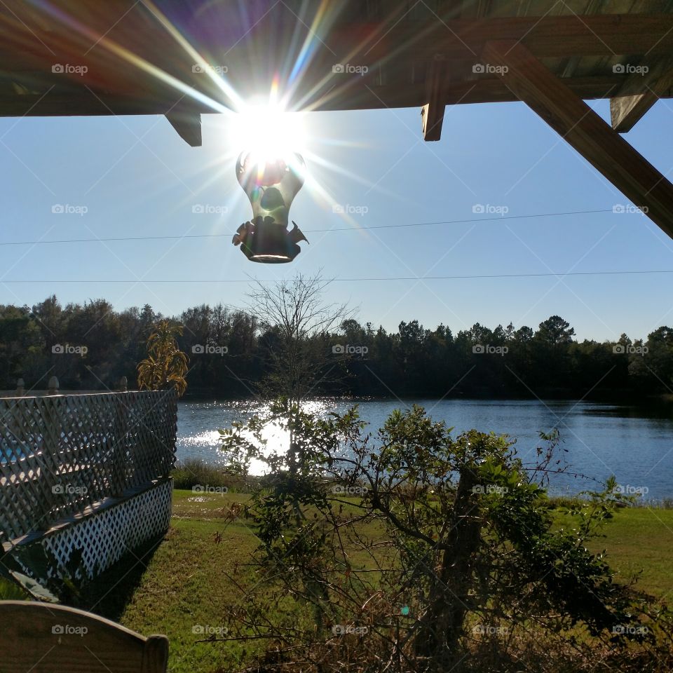 hummingbird feeder, sunshine, lake, fall weather, Beautiful, yard, afternoon