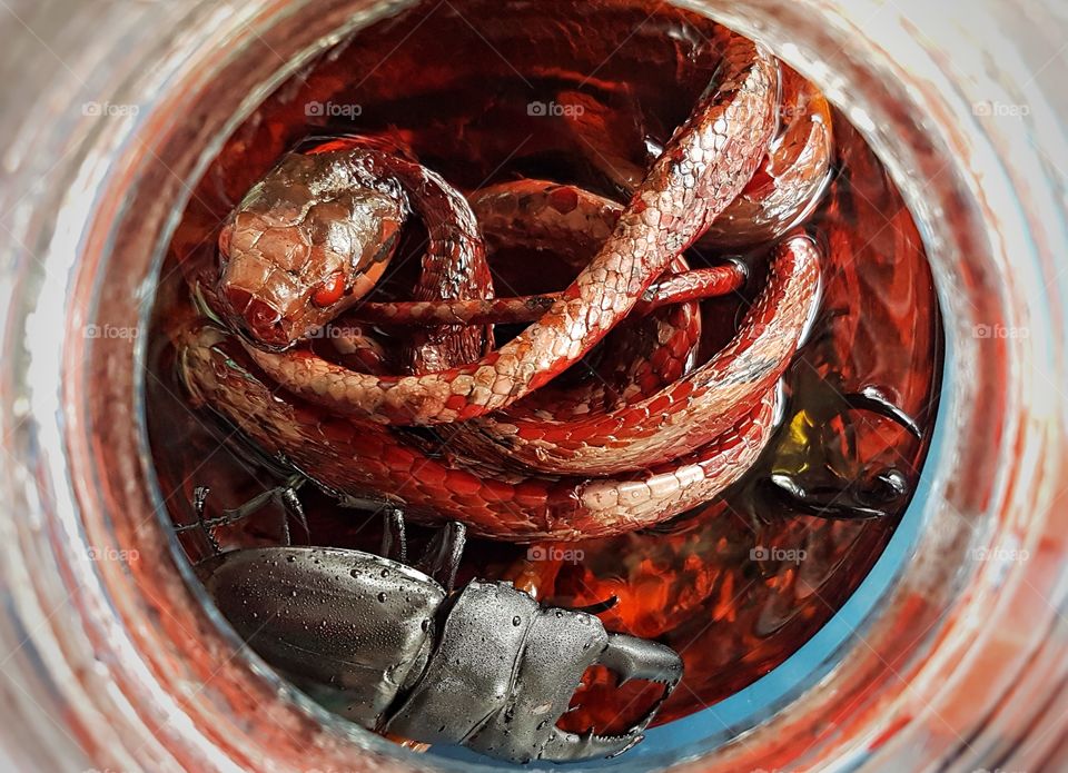 Ranger's Wine in Buda, Philippines