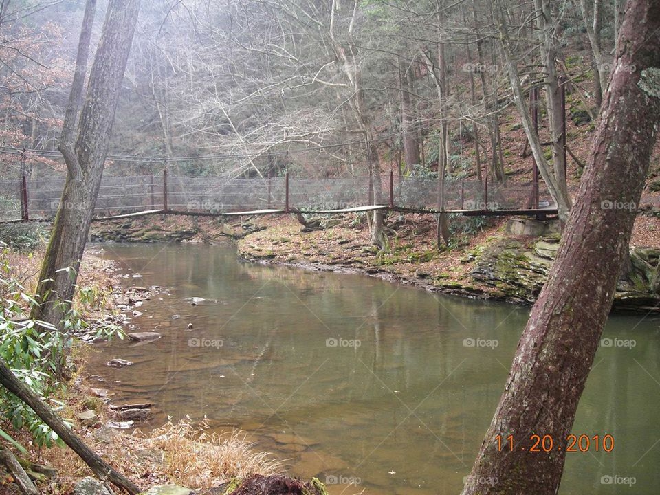 stream with a bridge