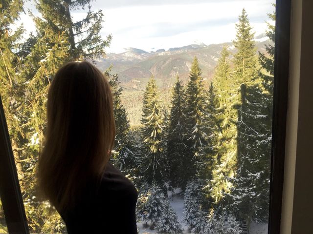 Landscape, Wood, Tree, Snow, Nature