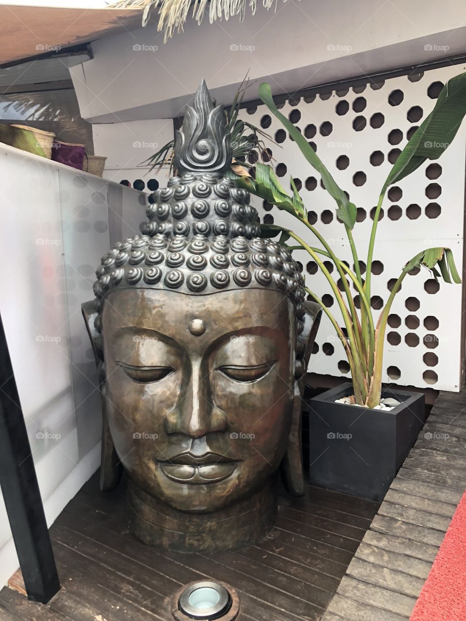 Buddha 