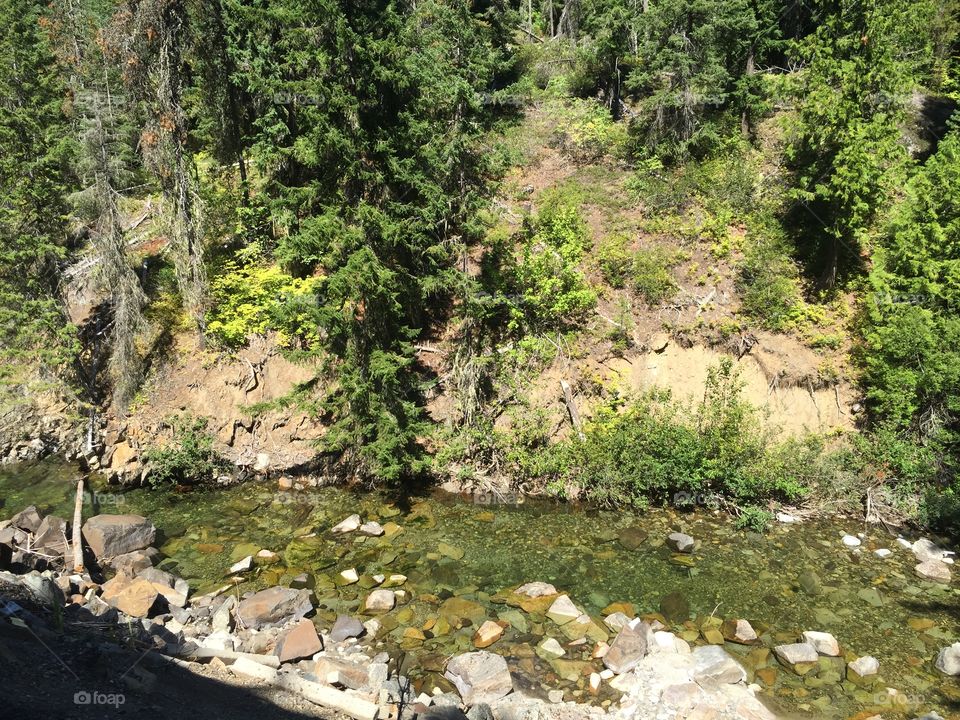 Nature, Wood, Landscape, No Person, Water