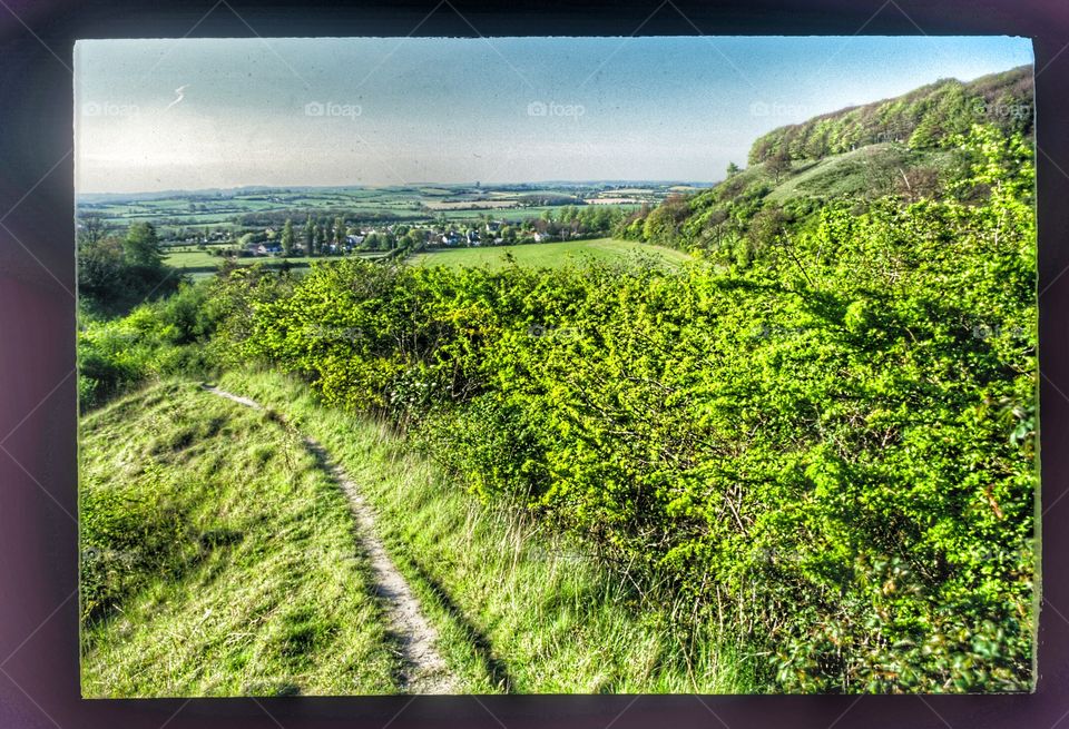 Path. Countryside