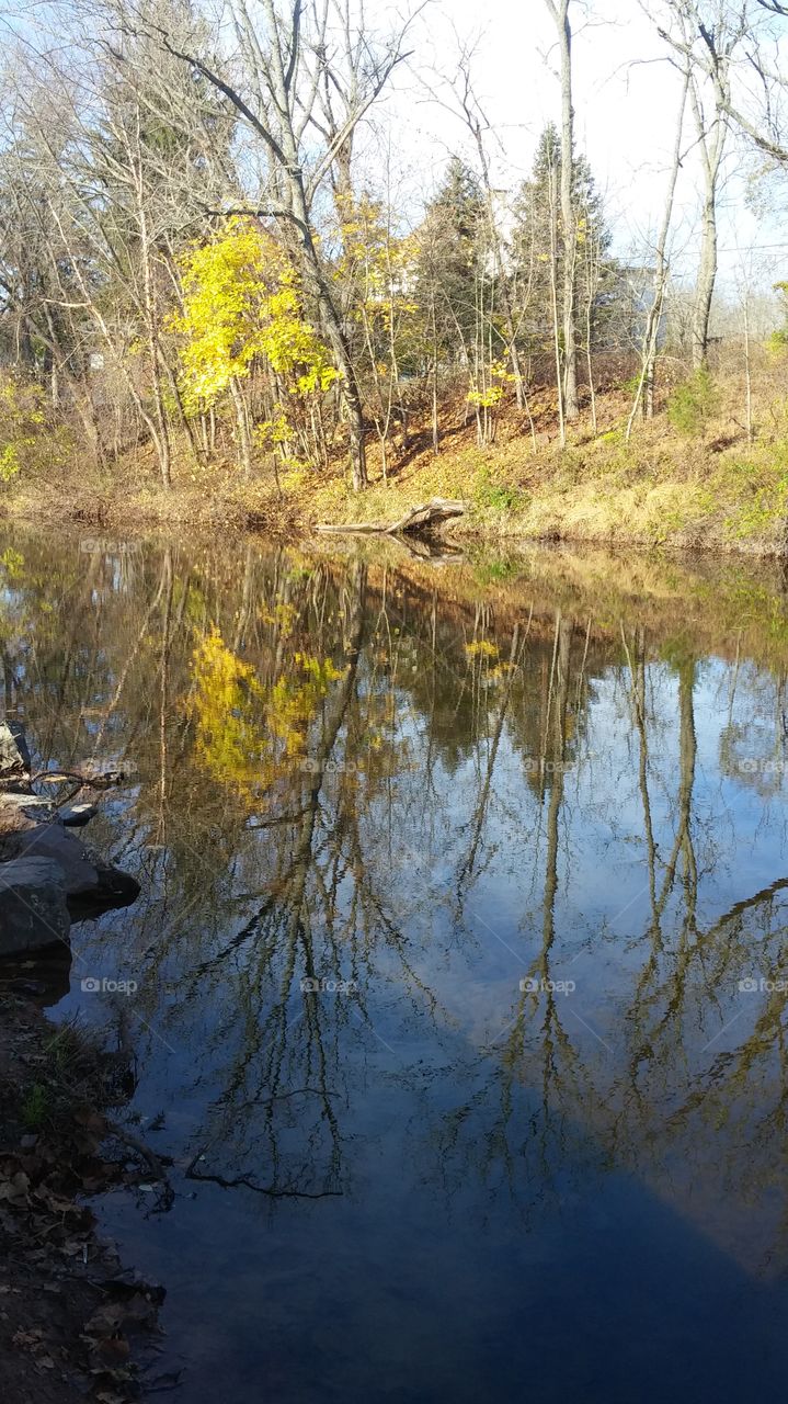 Landscape, Fall, Tree, Nature, Water