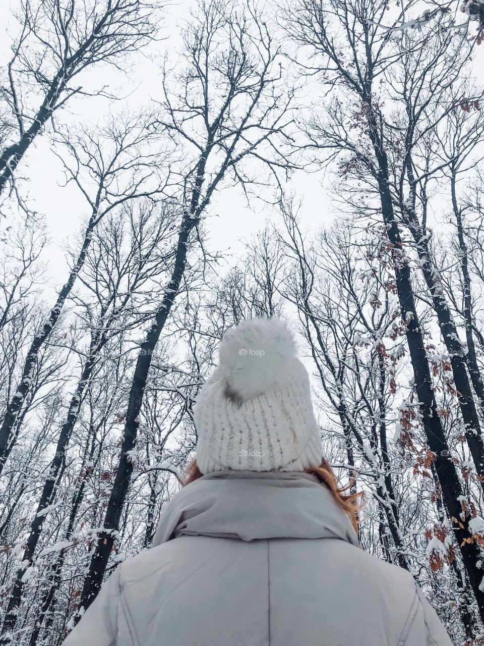 Winter walks in the woods 