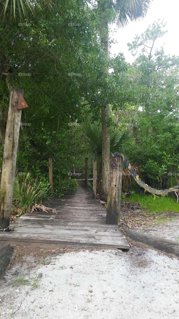 Pathway at boy scout camp...