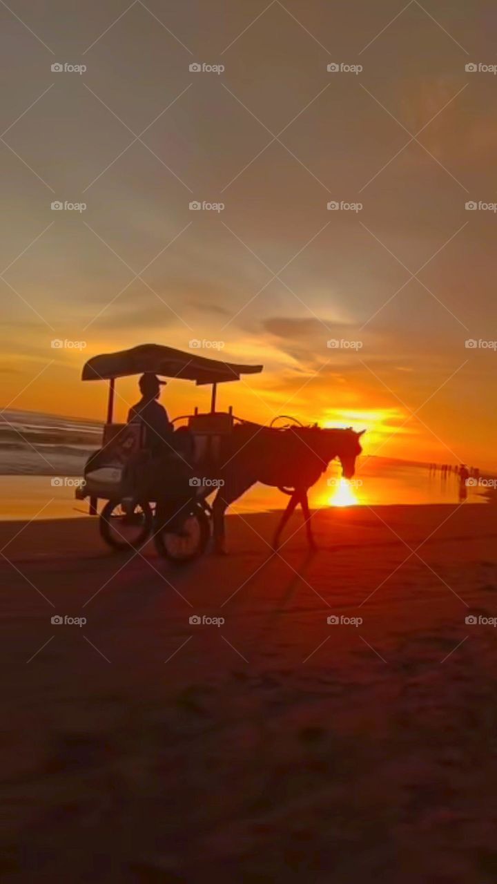 ride a wagon on the beach