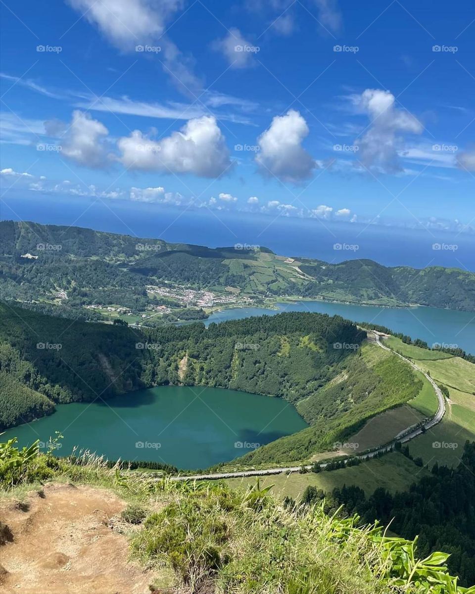 nature is fascinating