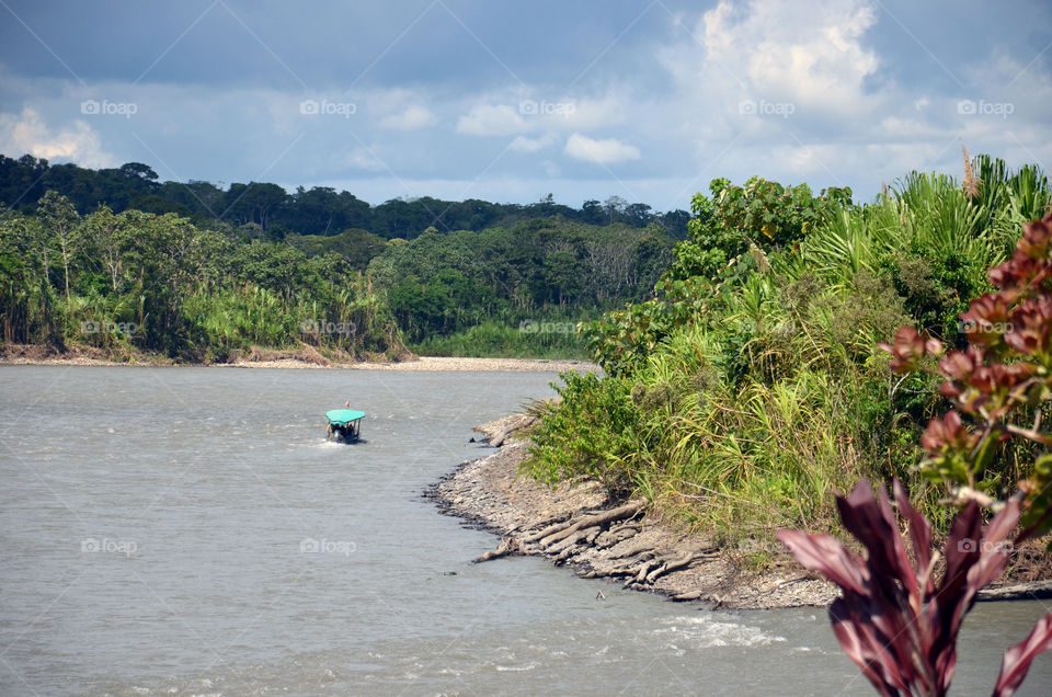 Amazonia Manu Peru