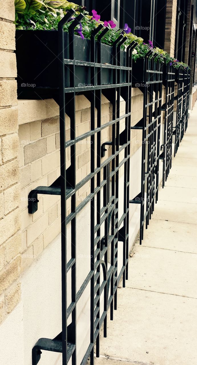 Exteriors. Wrought Iron Decor