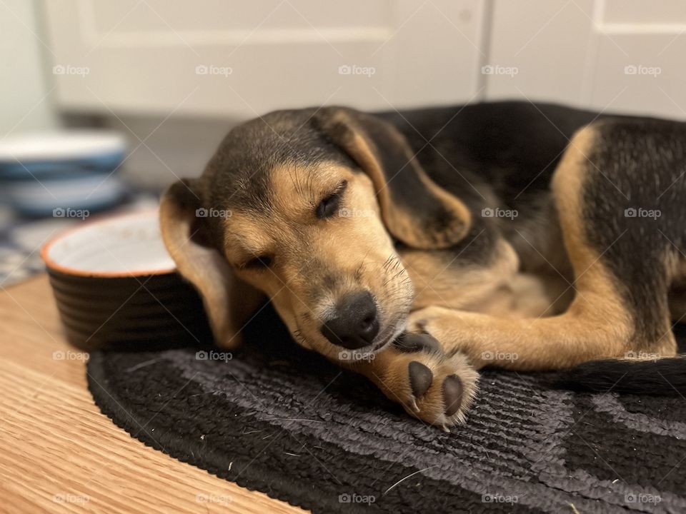 I can’t wait until the dinner time