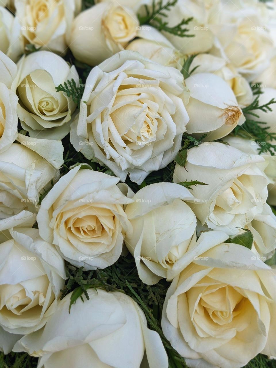 Come and kiss me 😘