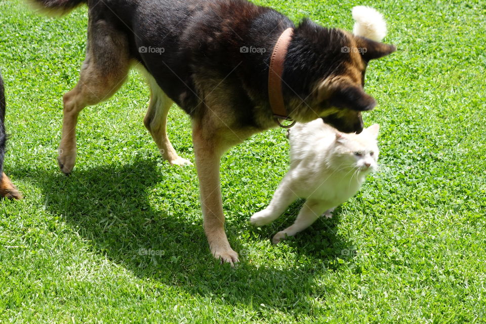 Game between friends