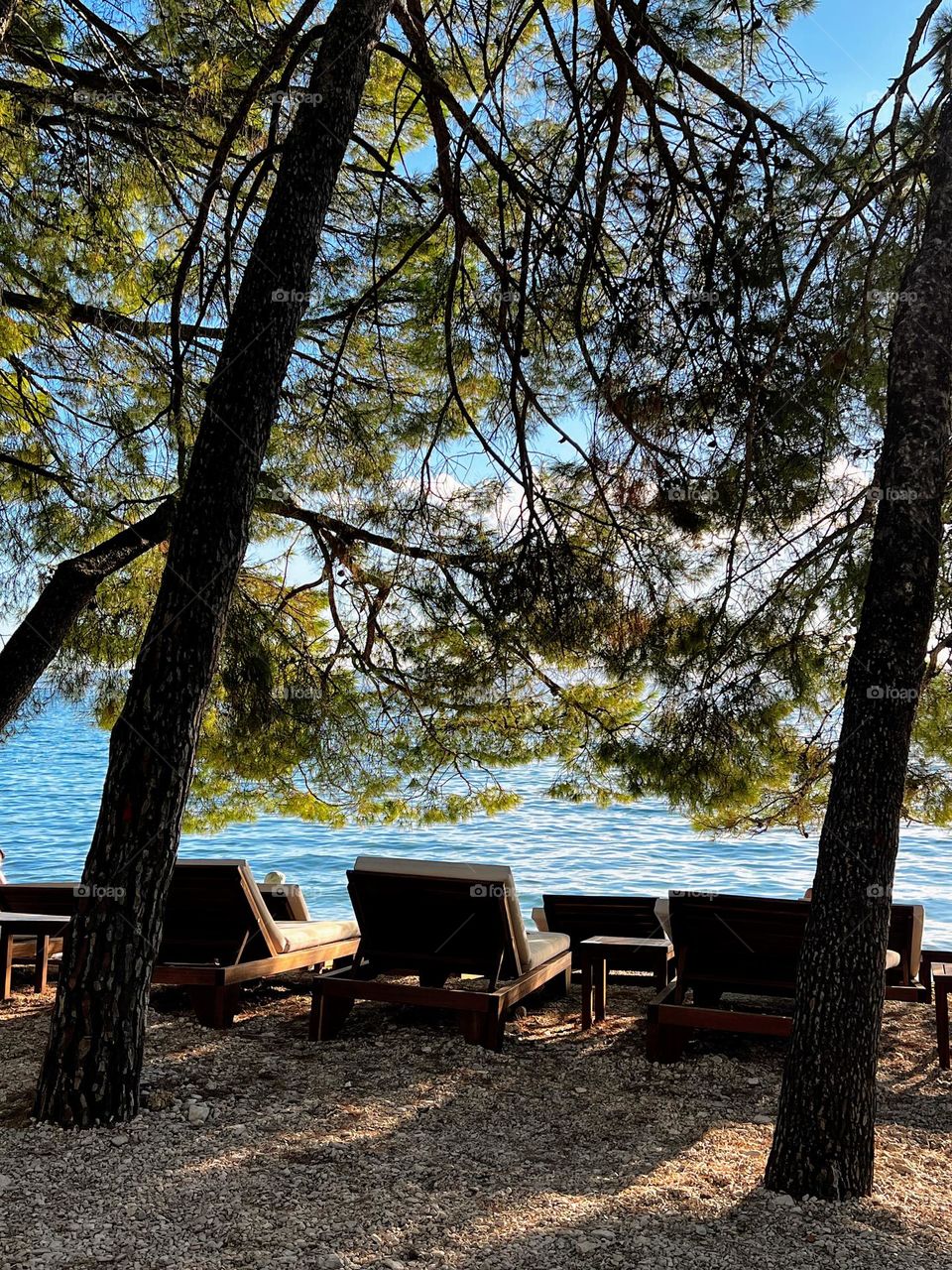 Tranquil view with coniferous trees and sunbeds in the shadow on the beach and bright blue sea behind