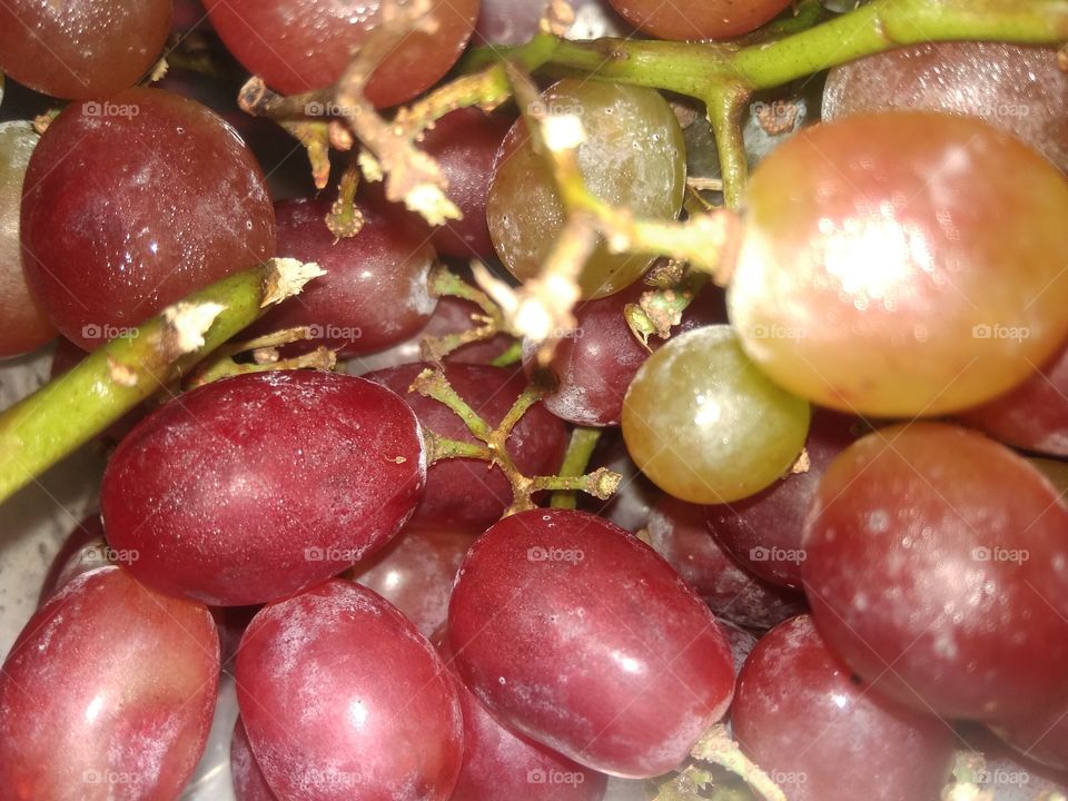 Cold grapes from refrigerator.