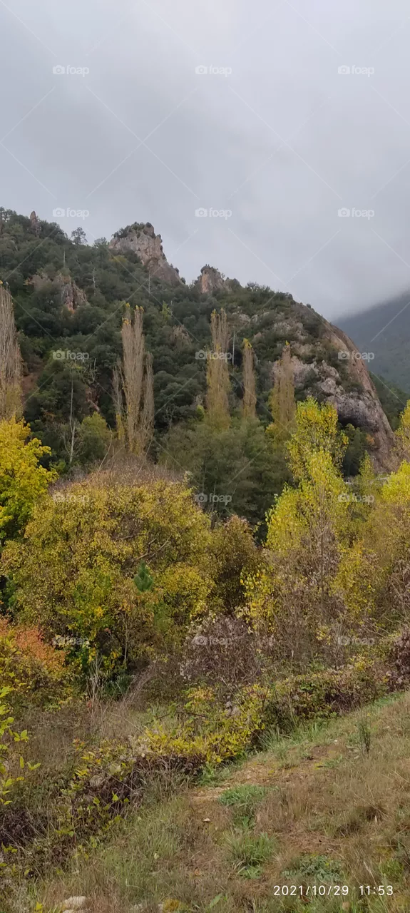 otoño