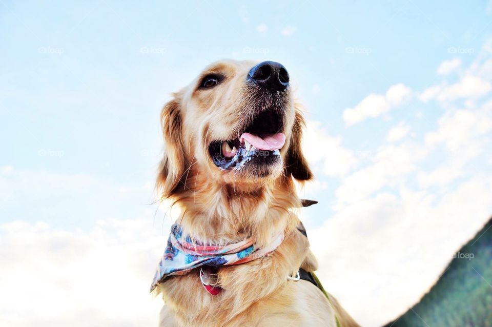 "Catch me from my good angle! Are you sure this picture doesn't give me a double chin?"