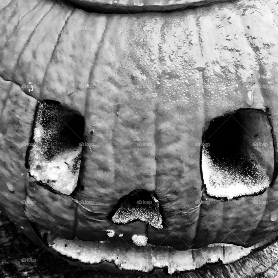 Halloween is over and the carcasses of pumpkins remain rotting in many backyards...